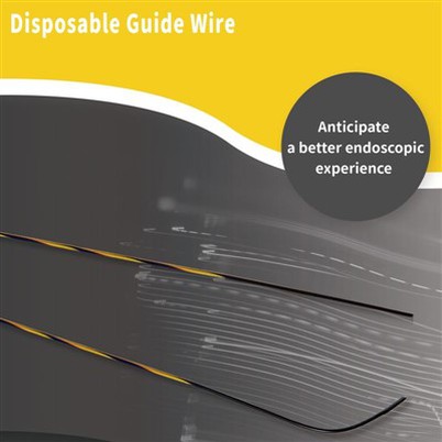 Flexibilní endoskopický vodicí drát